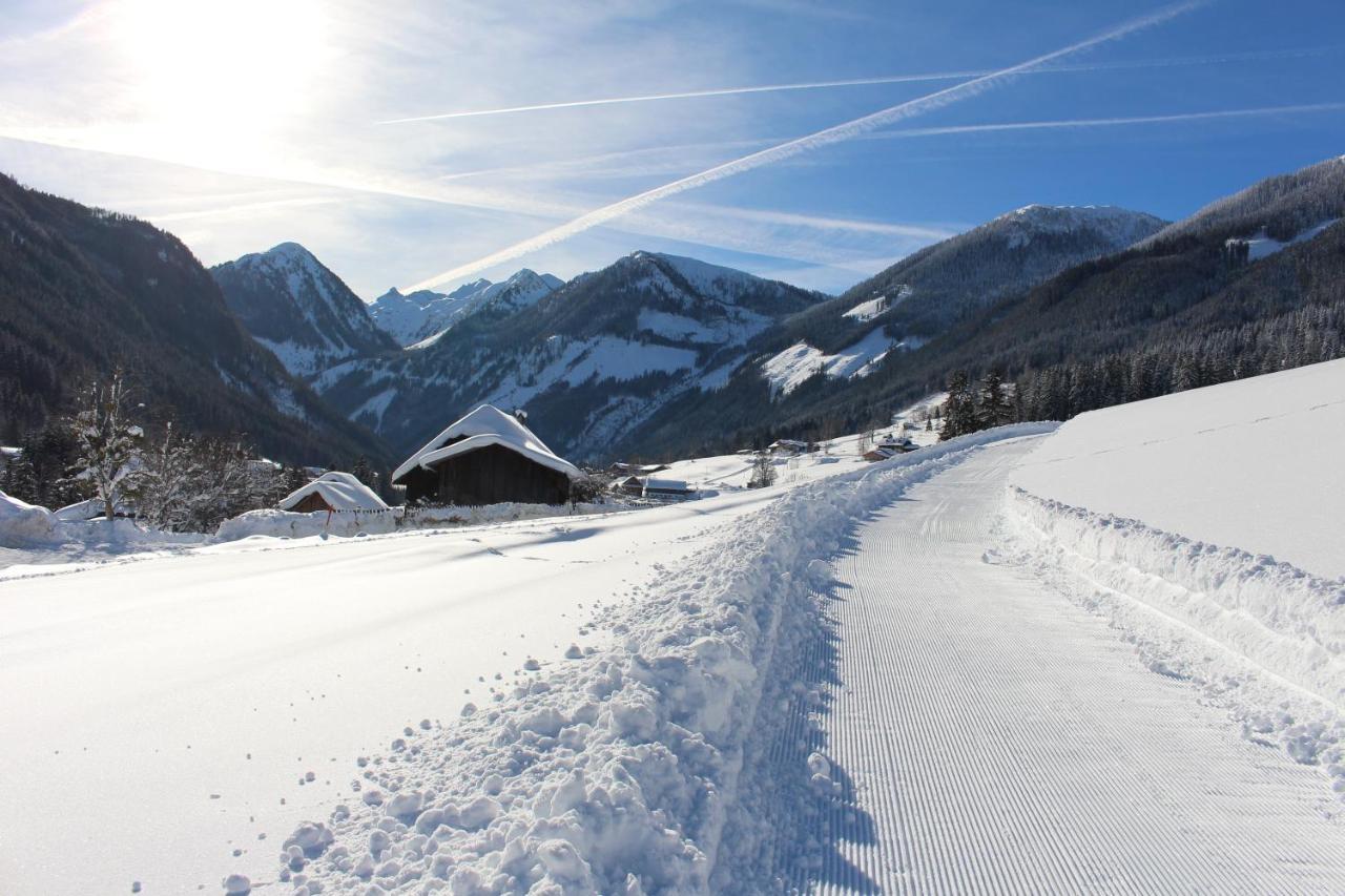 Haus Lorenz Schladming Dış mekan fotoğraf